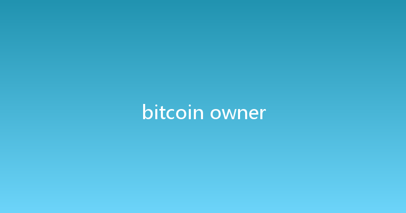 bitcoin owner 