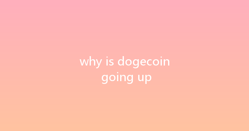 why is dogecoin going up 